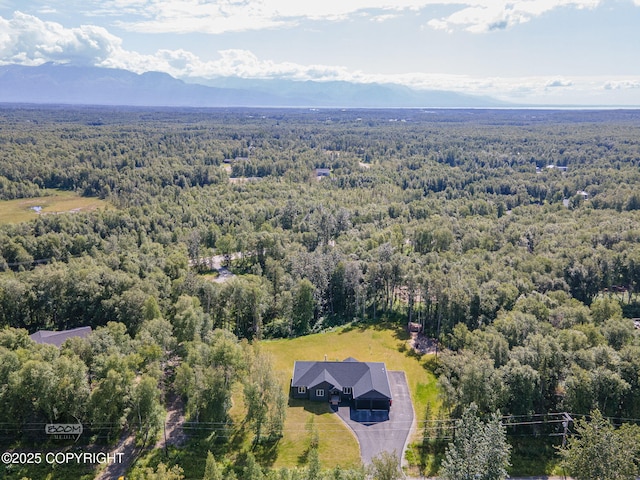 4580 E Pamela Dr, Wasilla, AK 99654 - photo 75