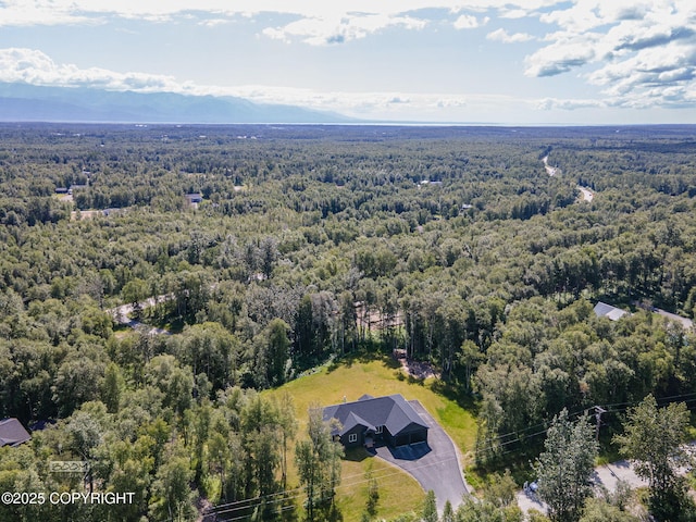 4580 E Pamela Dr, Wasilla, AK 99654 - photo 76