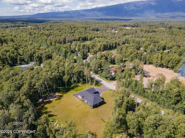 4580 E Pamela Dr, Wasilla, AK 99654 - photo 77