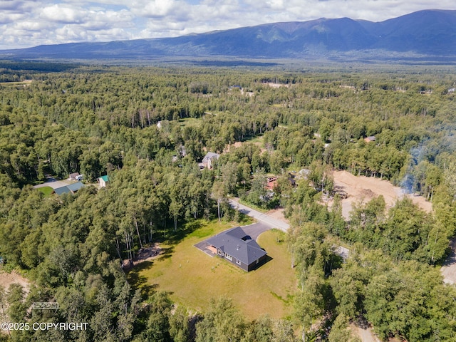 4580 E Pamela Dr, Wasilla, AK 99654 - photo 78