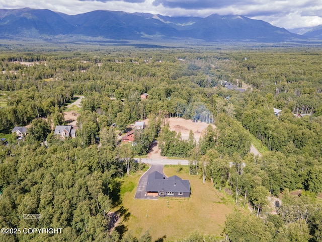 4580 E Pamela Dr, Wasilla, AK 99654 - photo 79