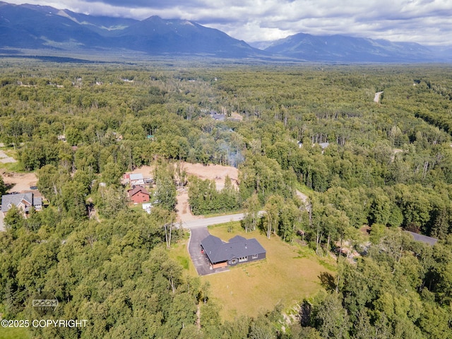 4580 E Pamela Dr, Wasilla, AK 99654 - photo 80