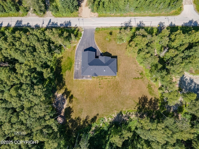 4580 E Pamela Dr, Wasilla, AK 99654 - photo 81