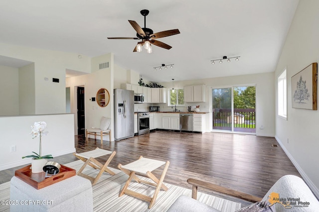 14795 E Hearthstone Dr, Palmer, AK 99645 - living room with dark wood-style floors, lofted ceiling, ceiling fan, and track lighting