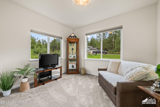 23011 Sherman St # 24, Chugiak, AK 99567 - carpeted living area with baseboards
