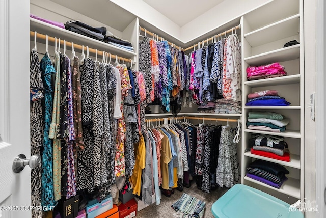 23011 Sherman St # 24, Chugiak, AK 99567 - spacious closet with carpet floors