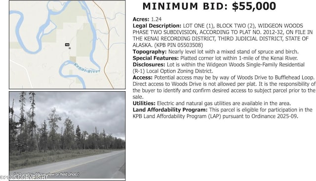 L1B2 Bufflehead Loop, Kenai, AK 99611