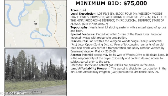 L5B4 Baldpate Loop, Kenai, AK 99611