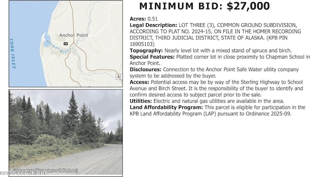 L3 Birch St, Anchor Point, AK 99556