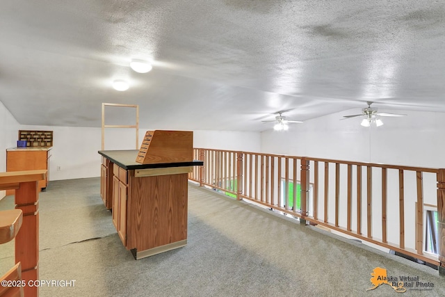 19411 Klondike St, Chugiak, AK 99567 - photo 29