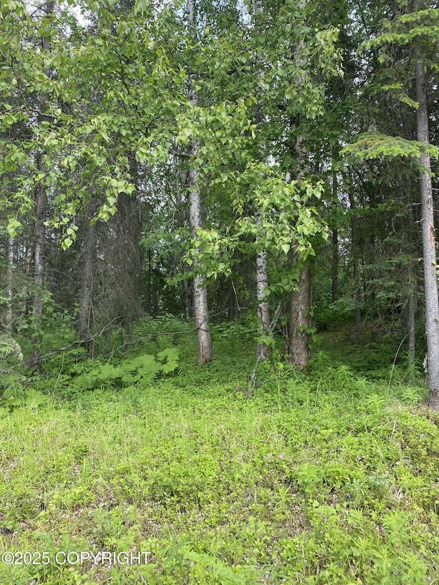 1511 S Kittiwake St, Wasilla, AK 99645 - photo 1