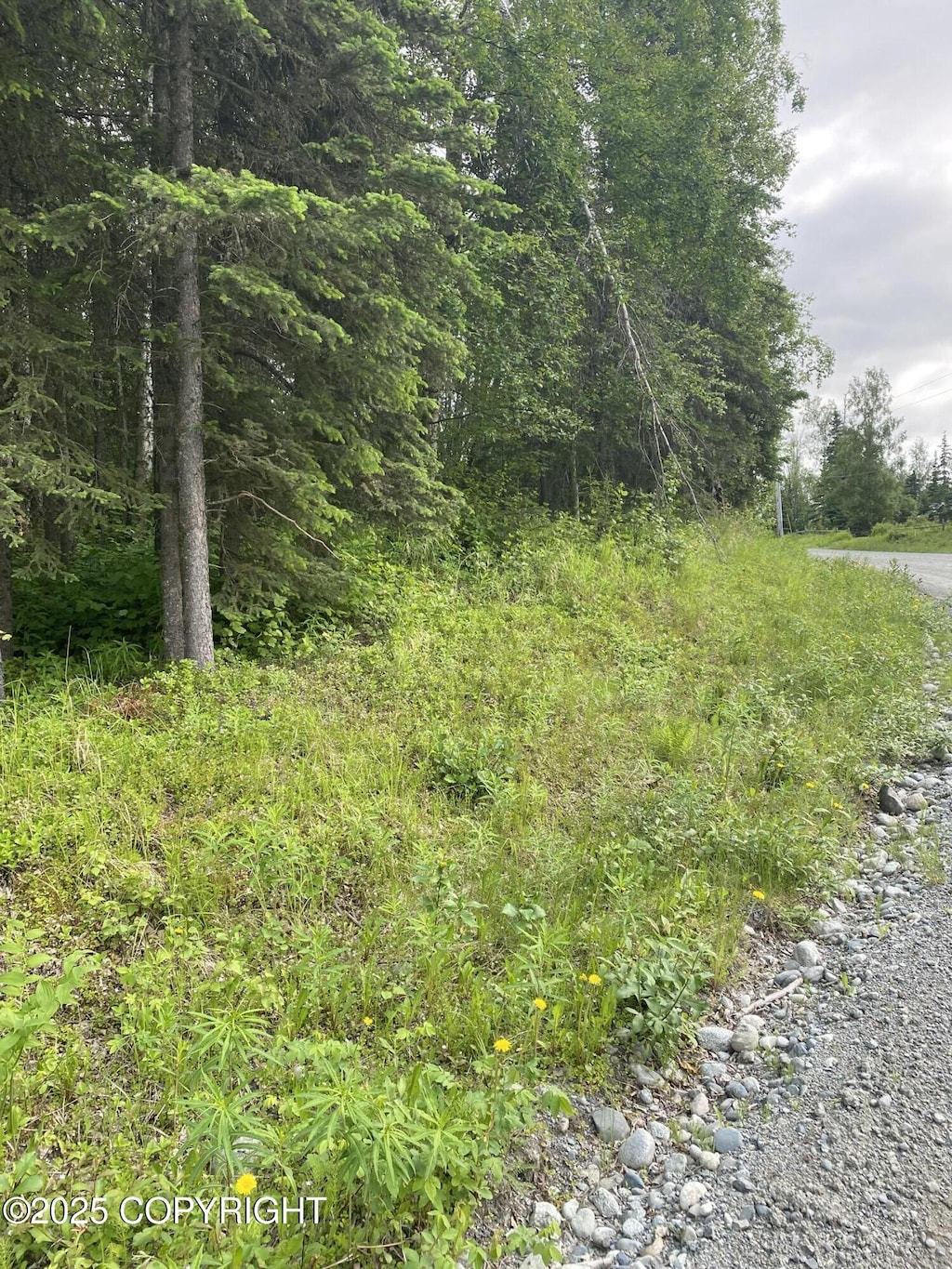 1511 S Kittiwake St, Wasilla, AK 99645 - photo 2