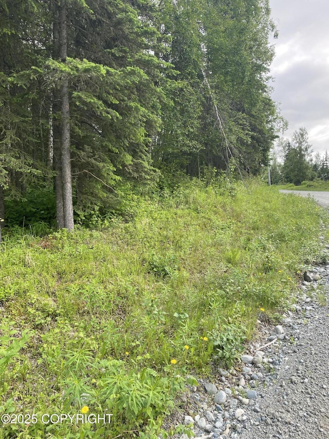 1511 S Kittiwake St, Wasilla, AK 99645 - photo 2