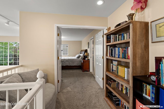 2431 Harbor Landing Cir, Anchorage, AK 99515 - hallway featuring carpet, track lighting, and recessed lighting