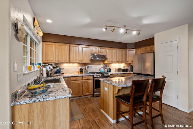 2431 Harbor Landing Cir, Anchorage, AK 99515 - kitchen with stainless steel appliances, under cabinet range hood, light stone countertops, and wood finished floors