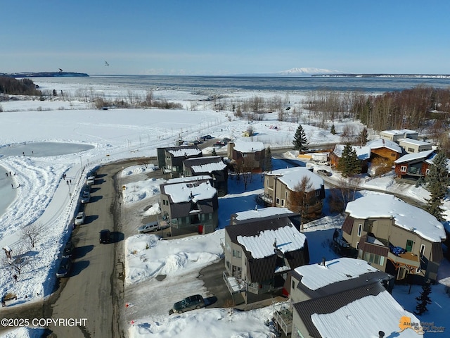 1854 Buccaneer Pl, Anchorage, AK 99501 - view of snowy aerial view