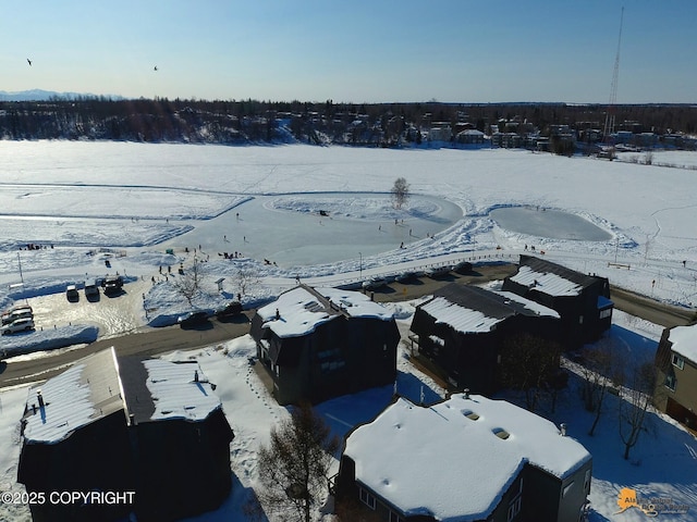 1854 Buccaneer Pl, Anchorage, AK 99501 - view of snowy aerial view