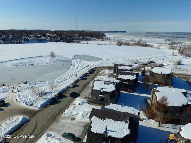 1854 Buccaneer Pl, Anchorage, AK 99501 - view of snowy aerial view
