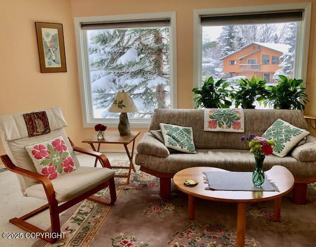 1854 Buccaneer Pl, Anchorage, AK 99501 - living area with healthy amount of natural light