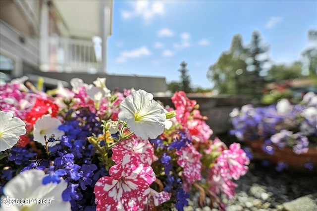 7713 Honeysuckle Dr, Anchorage, AK 99502 - photo 48