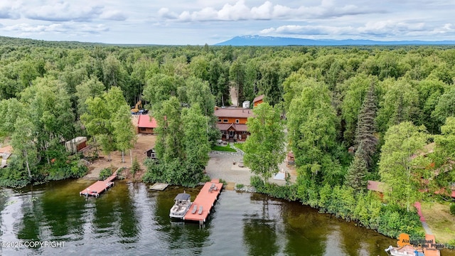 11155 N Crystal Shores Rd, Willow, AK 99688 - photo 68