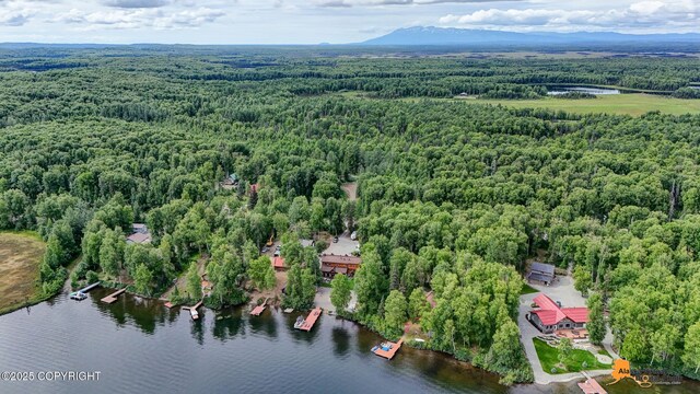 11155 N Crystal Shores Rd, Willow, AK 99688 - photo 78