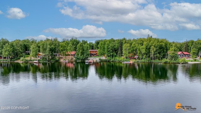 11155 N Crystal Shores Rd, Willow, AK 99688 - photo 81