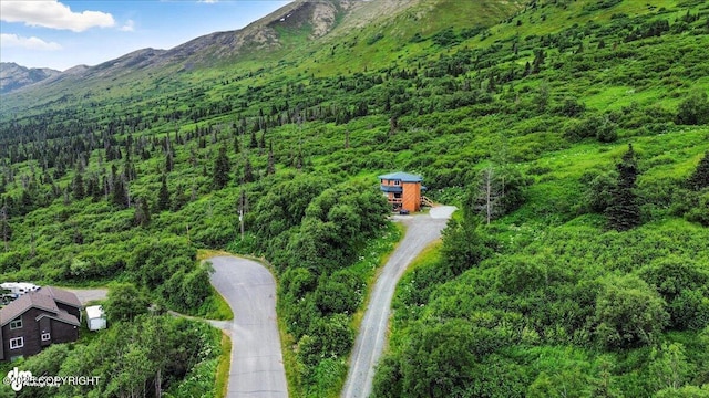 3600 Johnny Dr, Eagle River, AK 99577 - photo 13