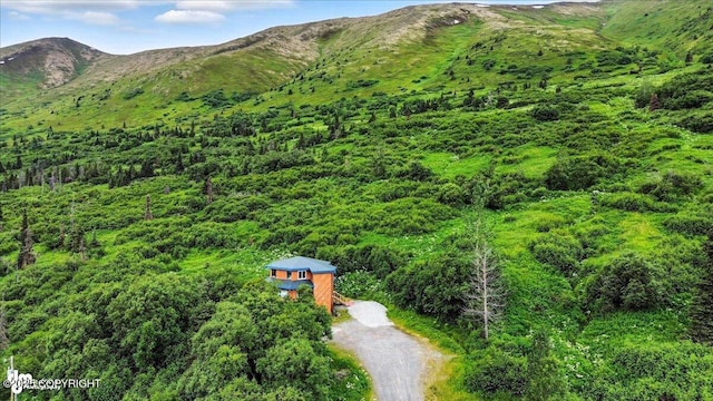 3600 Johnny Dr, Eagle River, AK 99577 - photo 14