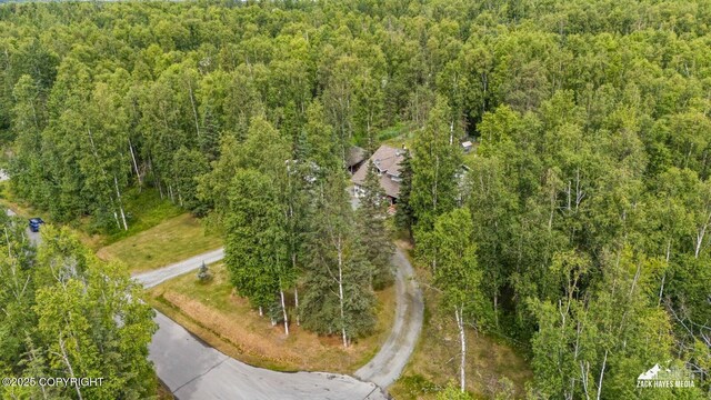 19939 Adrian Ave, Chugiak, AK 99567 - photo 60