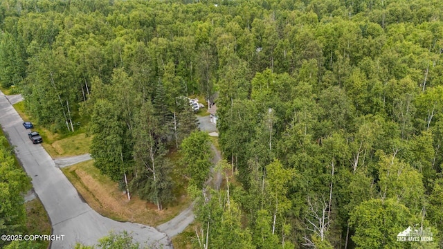 19939 Adrian Ave, Chugiak, AK 99567 - photo 61