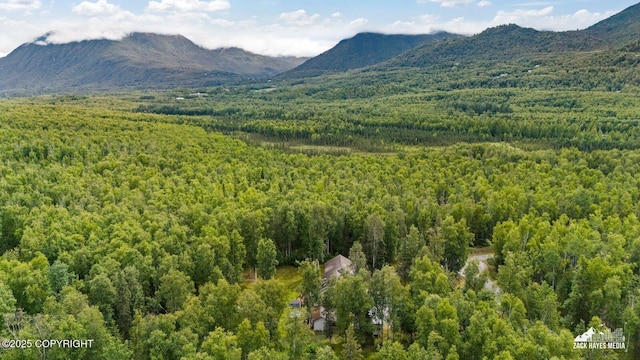 19939 Adrian Ave, Chugiak, AK 99567 - photo 66