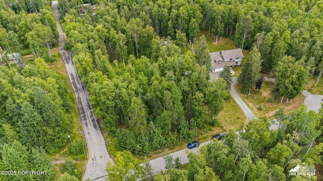 19939 Adrian Ave, Chugiak, AK 99567 - photo 68