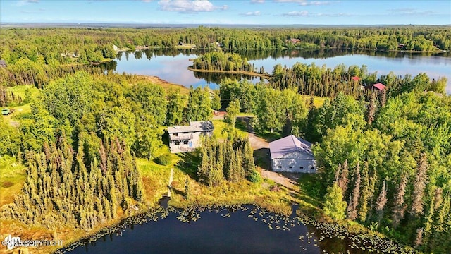 43725 Ross Dr, Soldotna, AK 99669 - drone / aerial view of a large body of water