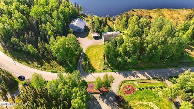 43725 Ross Dr, Soldotna, AK 99669 - aerial view of property's location