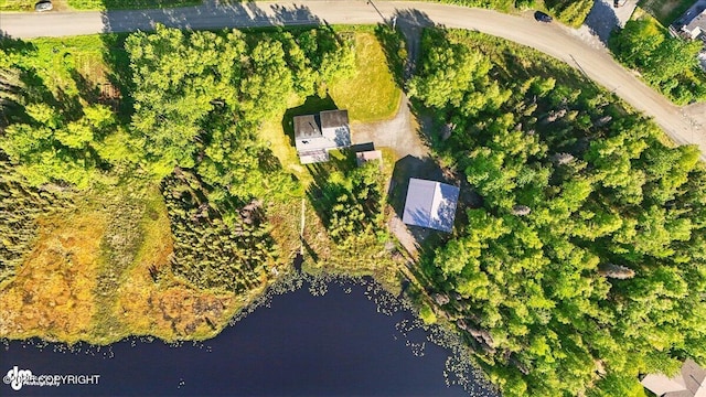 43725 Ross Dr, Soldotna, AK 99669 - view of property location featuring a nearby body of water