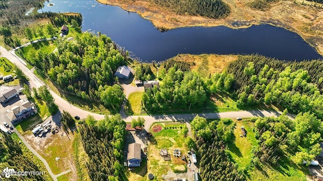 43725 Ross Dr, Soldotna, AK 99669 - aerial overview of property's location featuring a large body of water