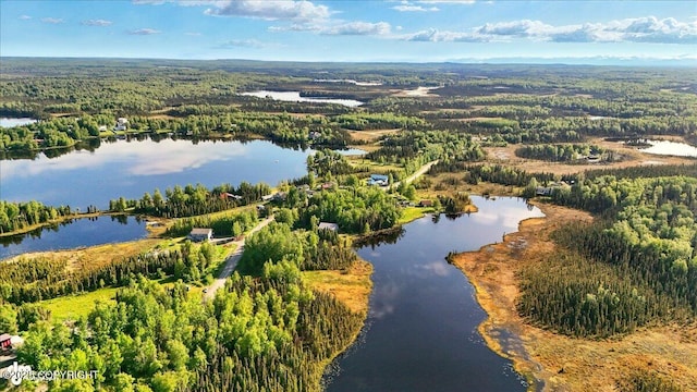 43725 Ross Dr, Soldotna, AK 99669 - bird's eye view of a nearby body of water and a forest