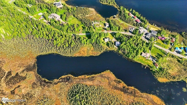 43725 Ross Dr, Soldotna, AK 99669 - aerial view of a large body of water