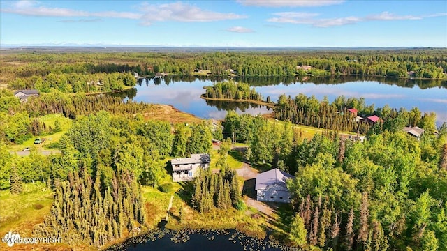 43725 Ross Dr, Soldotna, AK 99669 - bird's eye view of a nearby body of water