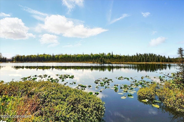 L19 Ross Dr, Soldotna, AK 99669