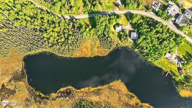 L19 Ross Dr, Soldotna, AK 99669