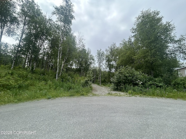 8752 E Snowbird Cir, Palmer, AK 99645 - photo 5