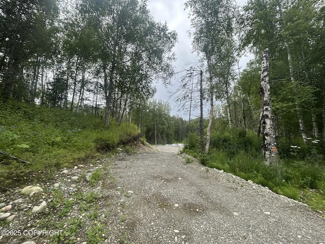 8752 E Snowbird Cir, Palmer, AK 99645 - photo 6