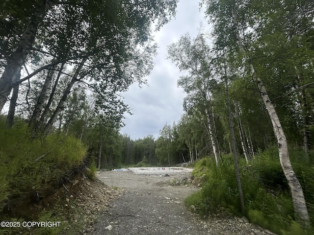 8752 E Snowbird Cir, Palmer, AK 99645 - photo 7