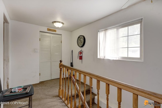 4440 View Cir, Anchorage, AK 99507 - photo 13