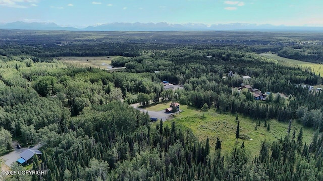 37605 Nadine Cir, Sterling, AK 99672 - photo 31