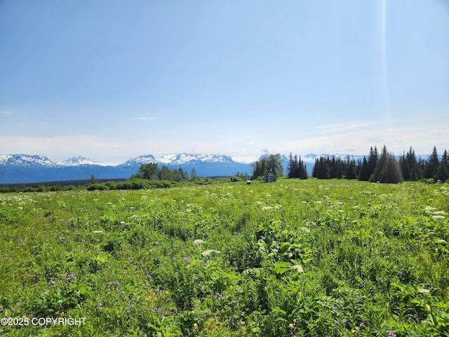 44931 Fox View Dr, Homer, AK 99603 - view of mountain backdrop