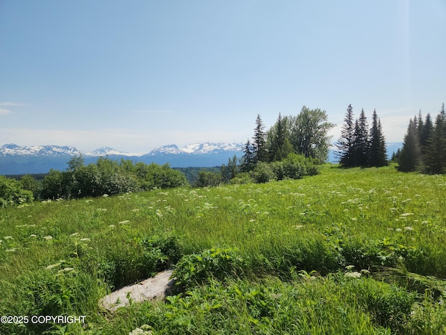 44931 Fox View Dr, Homer, AK 99603 - view of mountain backdrop