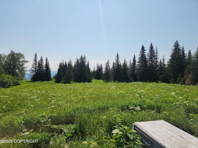 44931 Fox View Dr, Homer, AK 99603 - view of yard